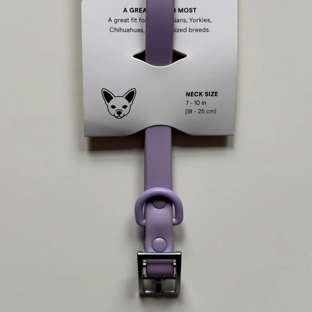Wild One Dog Collar - XS (7-10